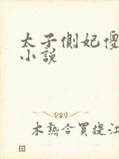 太子侧妃傻乎乎小说