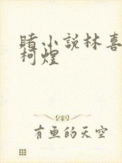 赌小说林喜朝和柯煜