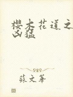 樱木花道之重生凶猛