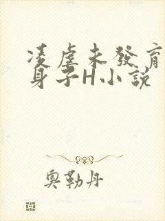 凌虐未发育的小身子H小说