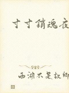 寸寸销魂夜春光