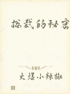 总裁的秘密情人