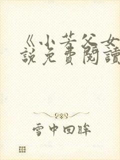 《小芳父女》小说免费阅读