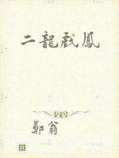 二龙戏凤