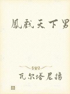凤戏天下男