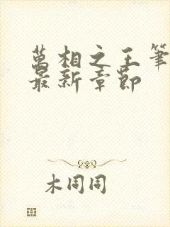 万相之王笔趣阁最新章节