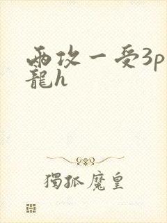 两攻一受3p双龙h