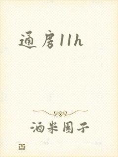 通房11h