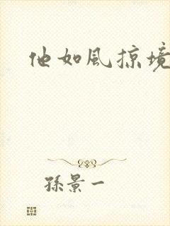 他如风掠境