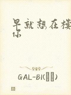 早就想在楼梯要你