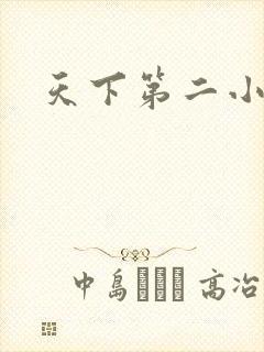天下第二小说