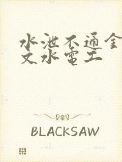 水泄不通金银原文水电工