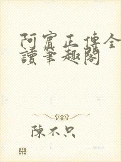 阿宾正传全文阅读笔趣阁