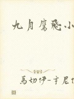 九月鹰飞小说