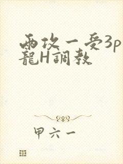 两攻一受3p双龙H调教