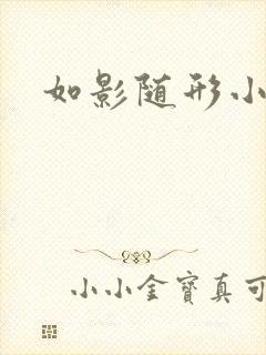 如影随形小说