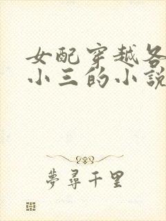 女配穿越各个做小三的小说
