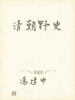 清朝野史