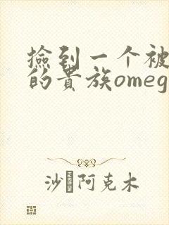 捡到一个被抹布的贵族omega