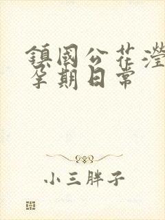 镇国公花滢滢的孕期日常