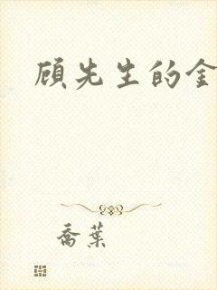 顾先生的金丝雀