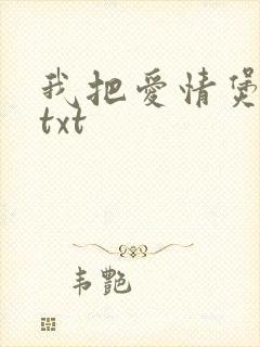 我把爱情煲成汤txt
