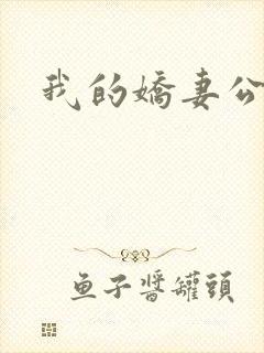 我的娇妻公务员