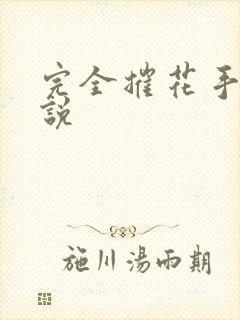 完全摧花手册小说