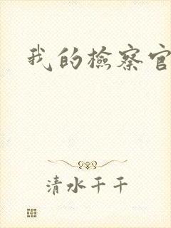 我的检察官先生