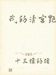 我的清宫艳史