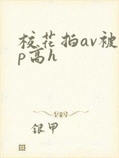 校花拍av被np高h