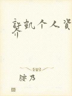 许凯个人资料简介