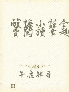 酸梅小说全文免费阅读笔趣阁