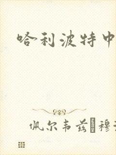 哈利波特中文版