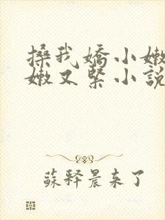 搡我娇小嫩苞又嫩又紧小说