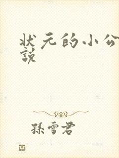 状元的小公主小说