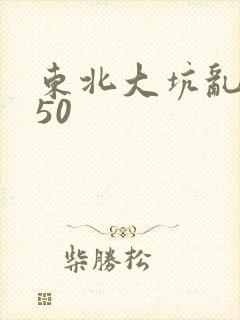 东北大坑乱1—50