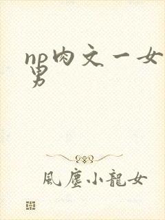 np肉文一女多男