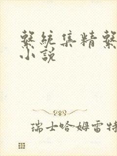 系统集精系统 小说