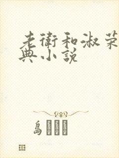 老卫和淑荣的经典小说