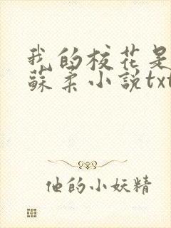 我的校花是福姬苏柔小说txt