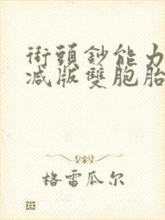 街头钞能力无删减版双胞胎