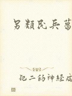 另类民兵葛二蛋