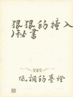 狠狠的撞入(h)秘书