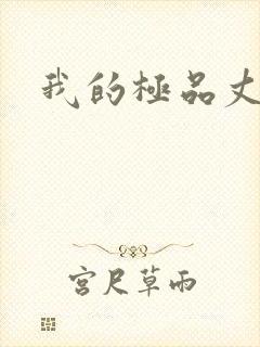 我的极品丈母娘