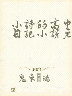 小诗的高中成长日记小说免费阅读