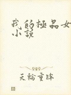 我的极品女老师小说