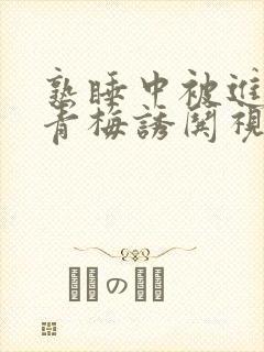 熟睡中被进了H青梅诱哄视频