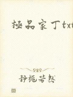 极品家丁txt