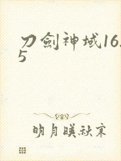 刀剑神域16.5